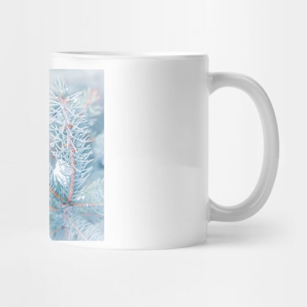 Snowy Winter Evergreen Forest Branches by Amy-K-Mitchell